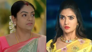 Karthika deepam 2 November 26th Episode 525