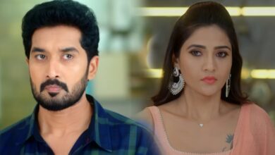 Karthika deepam 2 November 28th Episode 527